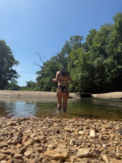 Iron rose's main photo