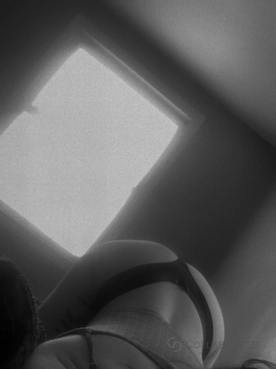 brookerdoodle's photo